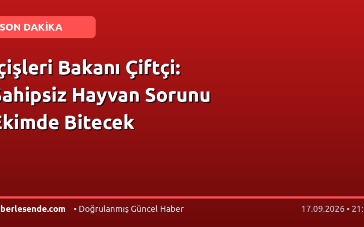 İçişleri Bakanı Çiftçi: Sahipsiz Hayvan Sorunu Ekimde Bitecek