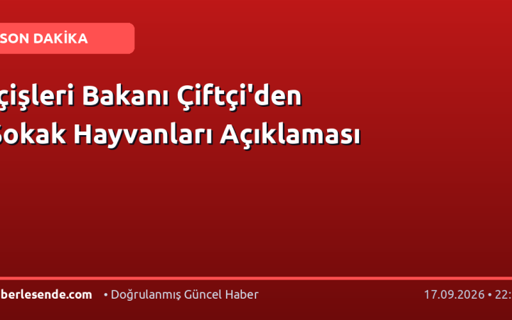 İçişleri Bakanı Çiftçi'den Sokak Hayvanları Açıklaması