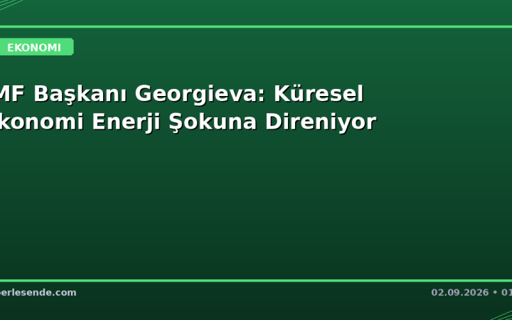 IMF Başkanı Georgieva: Küresel Ekonomi Enerji Şokuna Direniyor
