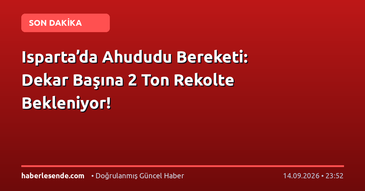Isparta’da Ahududu Bereketi: Dekar Başına 2 Ton Rekolte Bekleniyor!