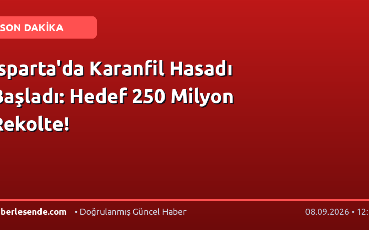 Isparta'da Karanfil Hasadı Başladı: Hedef 250 Milyon Rekolte!