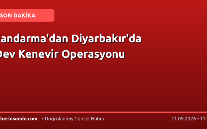 Jandarma'dan Diyarbakır'da Dev Kenevir Operasyonu