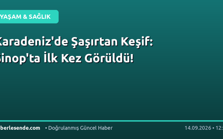Karadeniz'de Şaşırtan Keşif: Sinop'ta İlk Kez Görüldü!