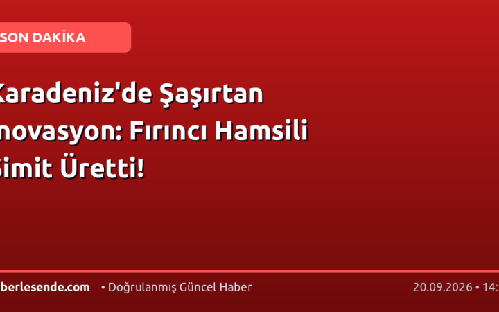 Karadeniz'de Şaşırtan İnovasyon: Fırıncı Hamsili Simit Üretti!
