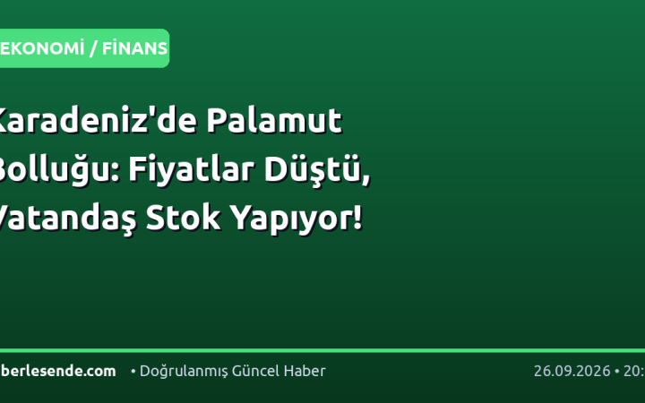 Karadeniz'de Palamut Bolluğu: Fiyatlar Düştü, Vatandaş Stok Yapıyor!