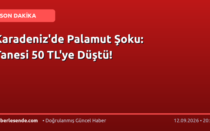 Karadeniz'de Palamut Şoku: Tanesi 50 TL'ye Düştü!