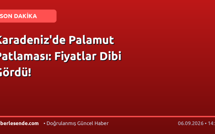Karadeniz'de Palamut Patlaması: Fiyatlar Dibi Gördü!