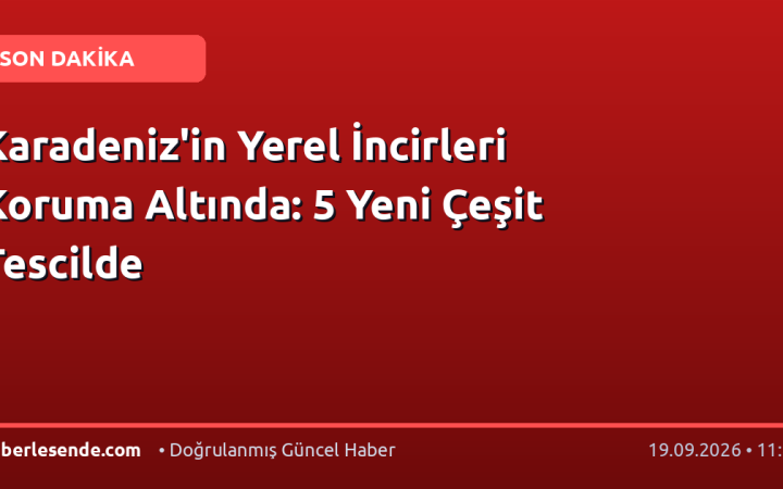 Karadeniz'in Yerel İncirleri Koruma Altında: 5 Yeni Çeşit Tescilde