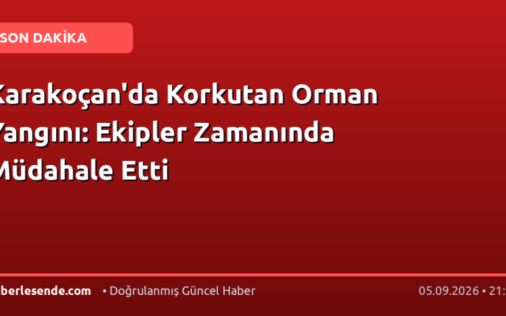Karakoçan'da Korkutan Orman Yangını: Ekipler Zamanında Müdahale Etti