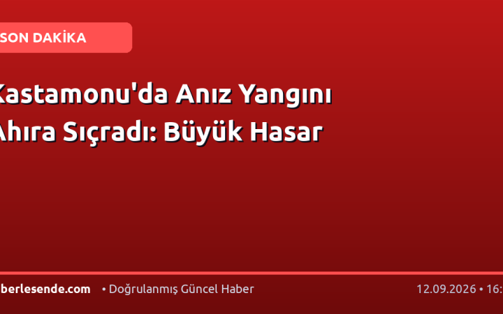 Kastamonu'da Anız Yangını Ahıra Sıçradı: Büyük Hasar