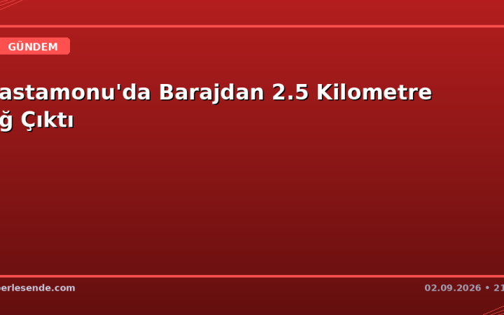 Kastamonu'da Barajdan 2.5 Kilometre Ağ Çıktı