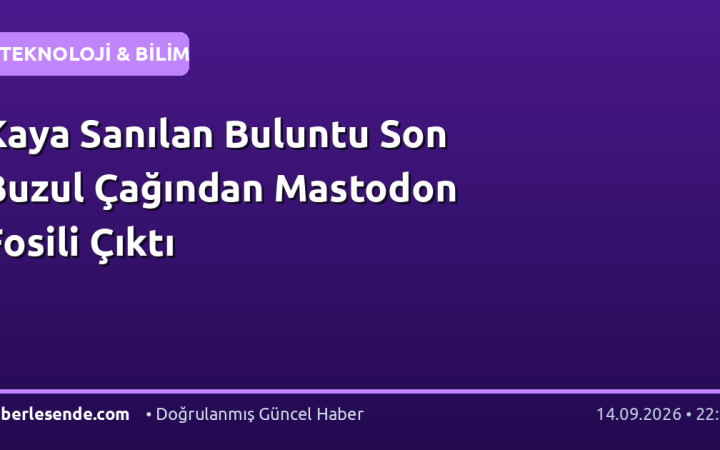 Kaya Sanılan Buluntu Son Buzul Çağından Mastodon Fosili Çıktı