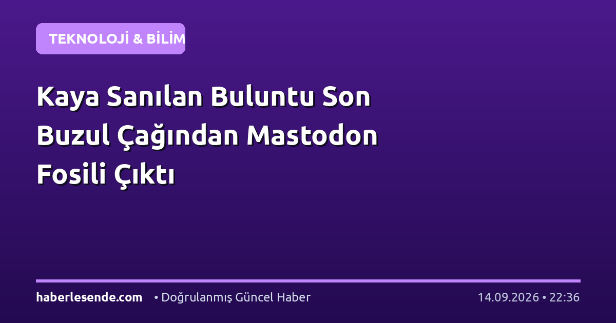 Kaya Sanılan Buluntu Son Buzul Çağından Mastodon Fosili Çıktı