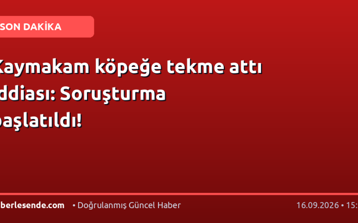 Kaymakam köpeğe tekme attı iddiası: Soruşturma başlatıldı!