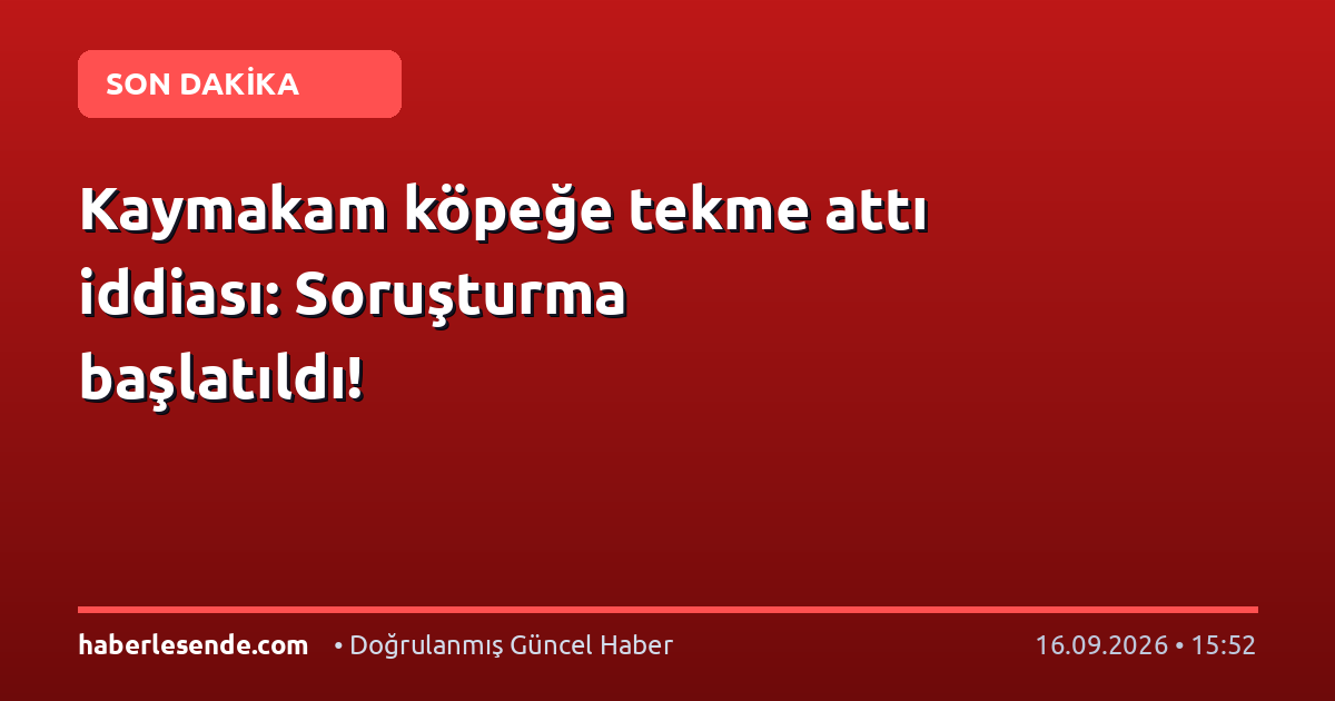 Kaymakam köpeğe tekme attı iddiası: Soruşturma başlatıldı!