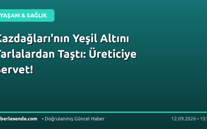 Kazdağları'nın Yeşil Altını Tarlalardan Taştı: Üreticiye Servet!
