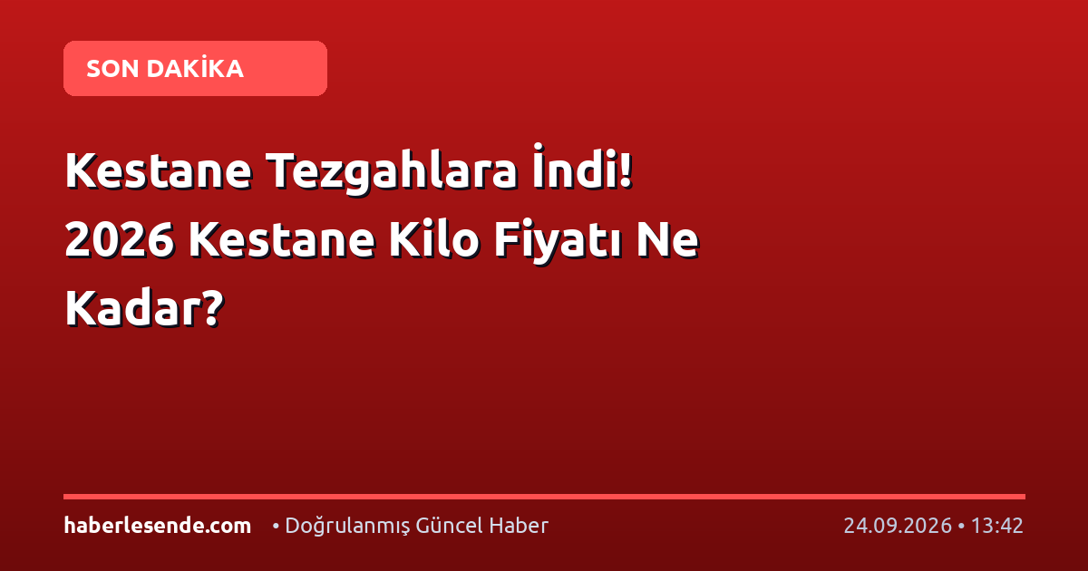 Kestane Tezgahlara İndi! 2026 Kestane Kilo Fiyatı Ne Kadar?