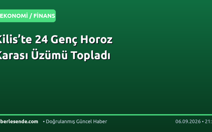 Kilis’te 24 Genç Horoz Karası Üzümü Topladı