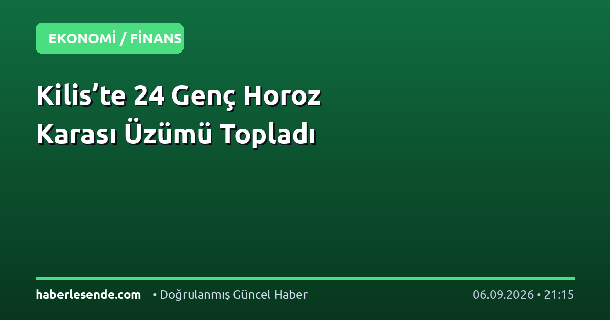Kilis’te 24 Genç Horoz Karası Üzümü Topladı
