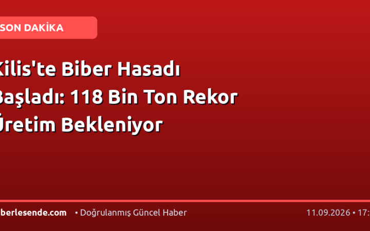 Kilis'te Biber Hasadı Başladı: 118 Bin Ton Rekor Üretim Bekleniyor