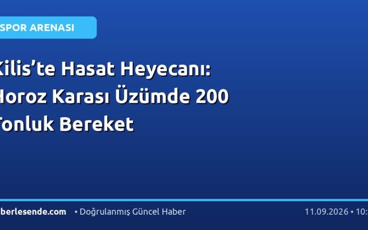 Kilis’te Hasat Heyecanı: Horoz Karası Üzümde 200 Tonluk Bereket