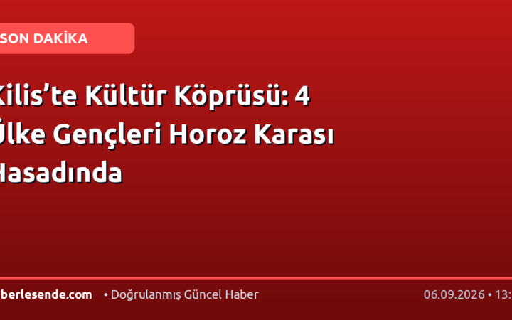 Kilis’te Kültür Köprüsü: 4 Ülke Gençleri Horoz Karası Hasadında