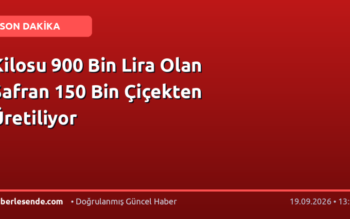 Kilosu 900 Bin Lira Olan Safran 150 Bin Çiçekten Üretiliyor