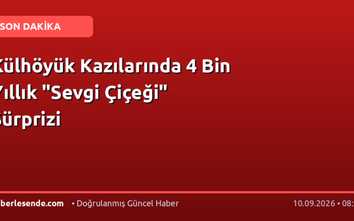Külhöyük Kazılarında 4 Bin Yıllık "Sevgi Çiçeği" Sürprizi