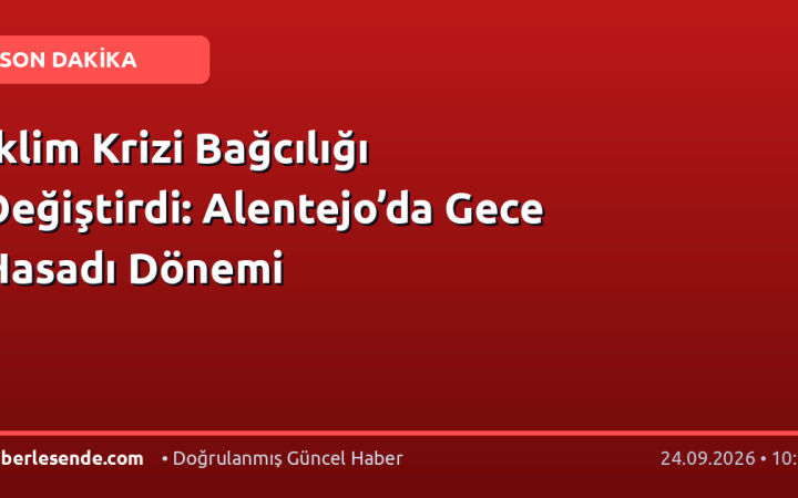İklim Krizi Bağcılığı Değiştirdi: Alentejo’da Gece Hasadı Dönemi