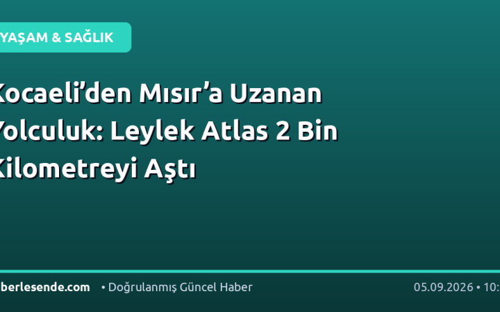 Kocaeli’den Mısır’a Uzanan Yolculuk: Leylek Atlas 2 Bin Kilometreyi Aştı