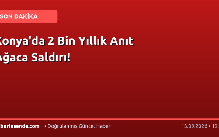 Konya'da 2 Bin Yıllık Anıt Ağaca Saldırı!