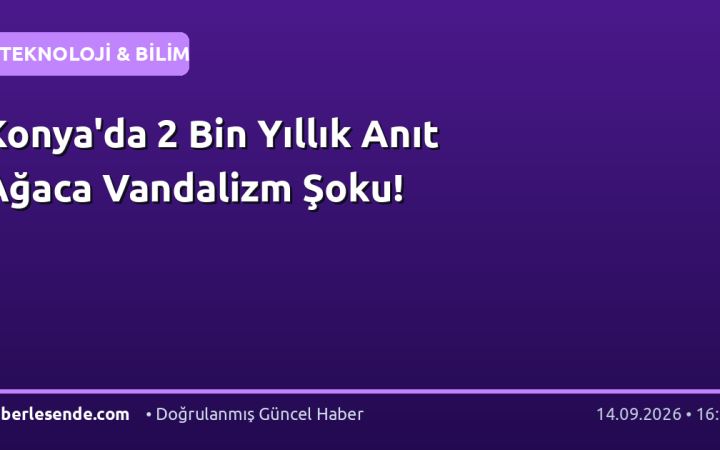 Konya'da 2 Bin Yıllık Anıt Ağaca Vandalizm Şoku!