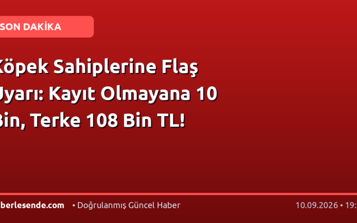 Köpek Sahiplerine Flaş Uyarı: Kayıt Olmayana 10 Bin, Terke 108 Bin TL!
