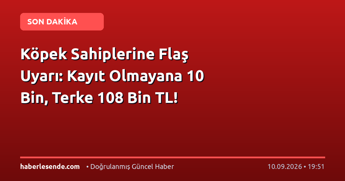 Köpek Sahiplerine Flaş Uyarı: Kayıt Olmayana 10 Bin, Terke 108 Bin TL!