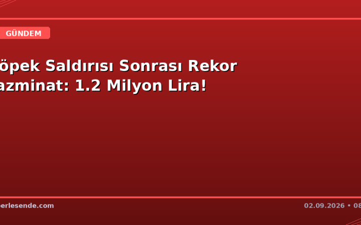 Köpek Saldırısı Sonrası Rekor Tazminat: 1.2 Milyon Lira!