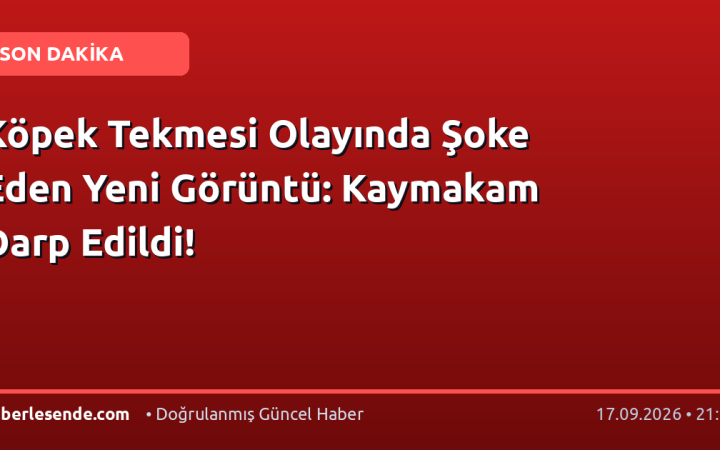 Köpek Tekmesi Olayında Şoke Eden Yeni Görüntü: Kaymakam Darp Edildi!