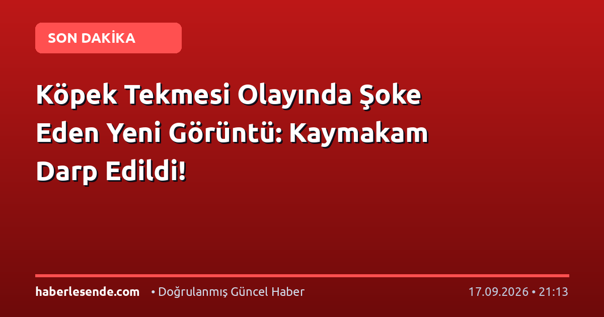 Köpek Tekmesi Olayında Şoke Eden Yeni Görüntü: Kaymakam Darp Edildi!