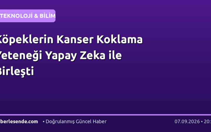 Köpeklerin Kanser Koklama Yeteneği Yapay Zeka ile Birleşti