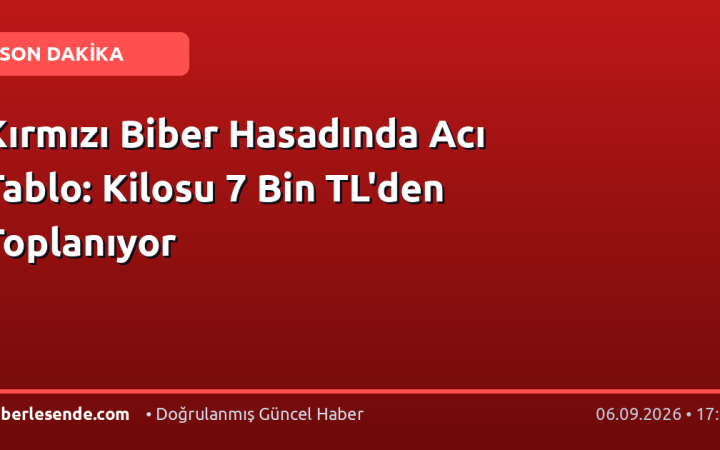 Kırmızı Biber Hasadında Acı Tablo: Kilosu 7 Bin TL'den Toplanıyor