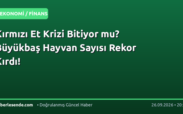 Kırmızı Et Krizi Bitiyor mu? Büyükbaş Hayvan Sayısı Rekor Kırdı!