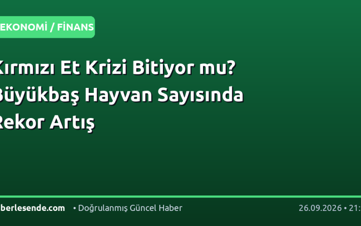 Kırmızı Et Krizi Bitiyor mu? Büyükbaş Hayvan Sayısında Rekor Artış
