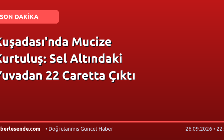 Kuşadası'nda Mucize Kurtuluş: Sel Altındaki Yuvadan 22 Caretta Çıktı