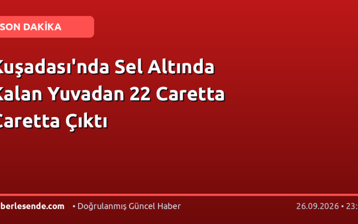 Kuşadası'nda Sel Altında Kalan Yuvadan 22 Caretta Caretta Çıktı
