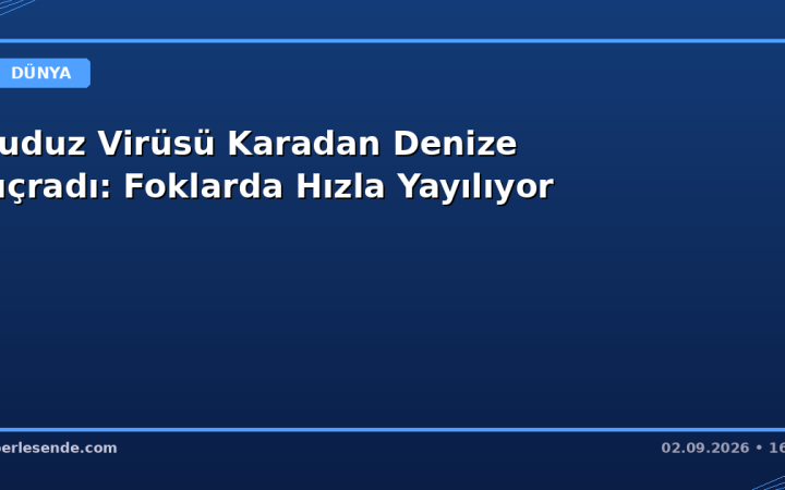 Kuduz Virüsü Karadan Denize Sıçradı: Foklarda Hızla Yayılıyor