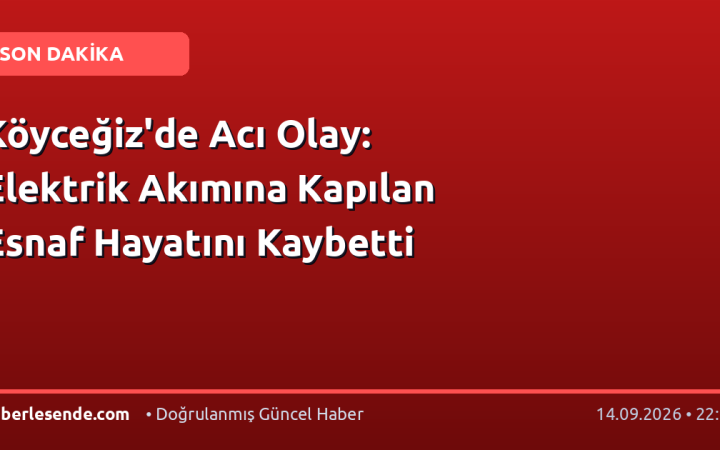 Köyceğiz'de Acı Olay: Elektrik Akımına Kapılan Esnaf Hayatını Kaybetti