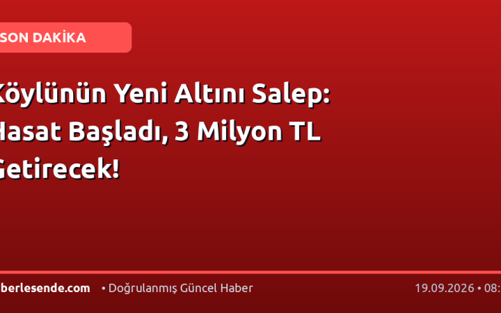 Köylünün Yeni Altını Salep: Hasat Başladı, 3 Milyon TL Getirecek!