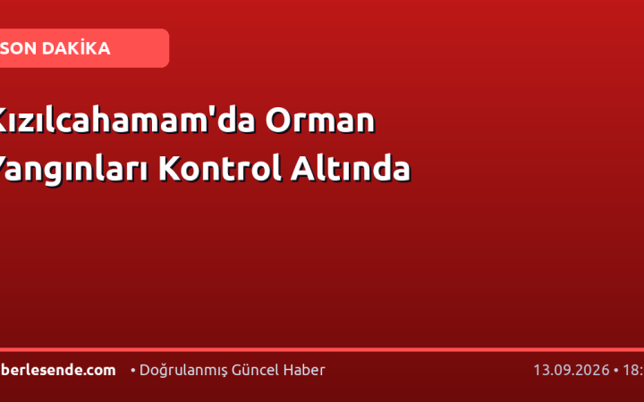 Kızılcahamam'da Orman Yangınları Kontrol Altında