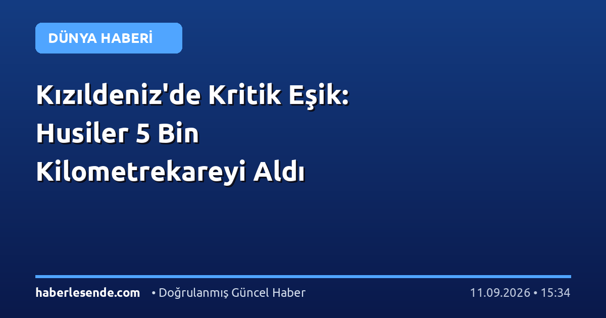 Kızıldeniz'de Kritik Eşik: Husiler 5 Bin Kilometrekareyi Aldı