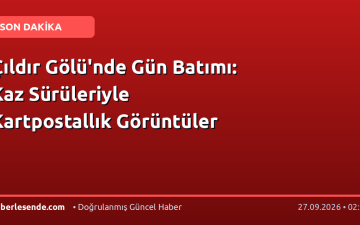 Çıldır Gölü'nde Gün Batımı: Kaz Sürüleriyle Kartpostallık Görüntüler