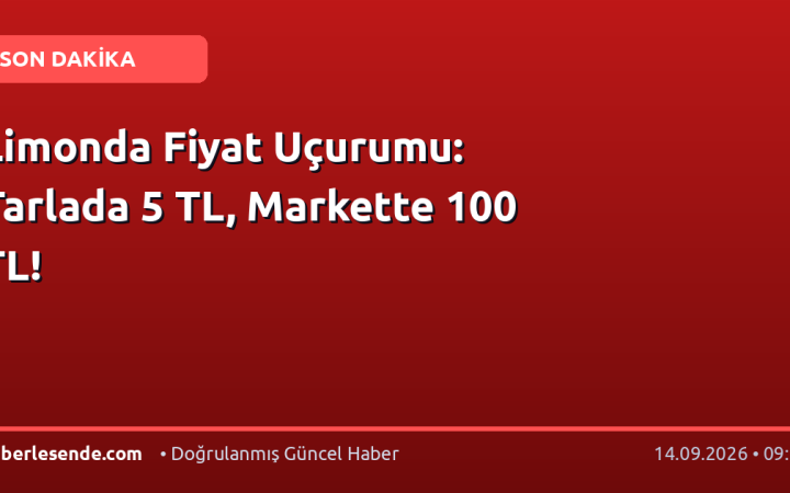 Limonda Fiyat Uçurumu: Tarlada 5 TL, Markette 100 TL!